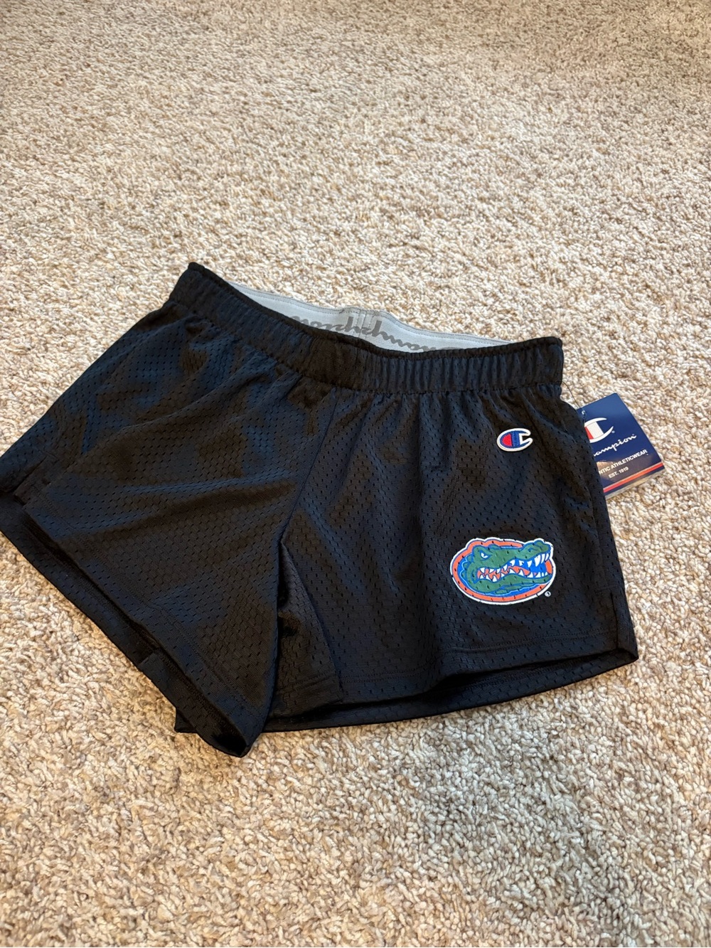 Champion Women's Black Mesh Athletic Shorts with Gators Crest